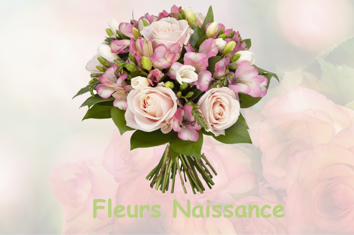 fleurs naissance FRONTIGNAN-DE-COMMINGES