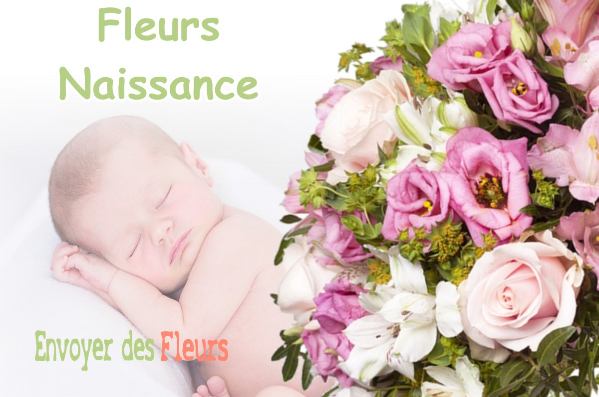 lIVRAISON FLEURS NAISSANCE à FRONTIGNAN-DE-COMMINGES